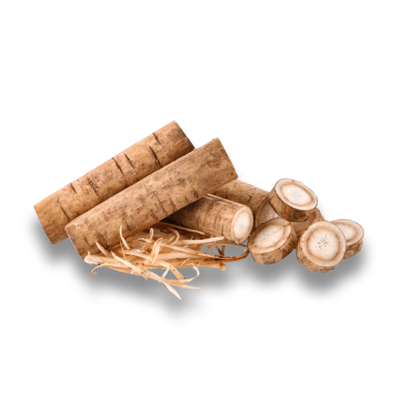 Burdock Root