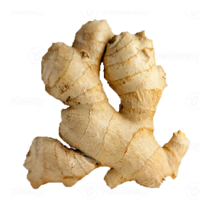Ginger
