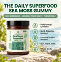 Sea Moss 16-In-1 Gummies To Clear Mucus & Restore Respiratory Health
