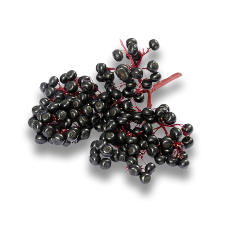 Elderberry