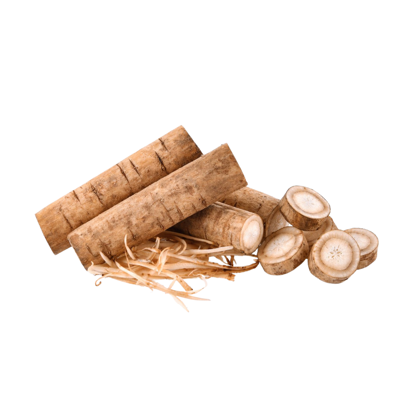 Burdock Root