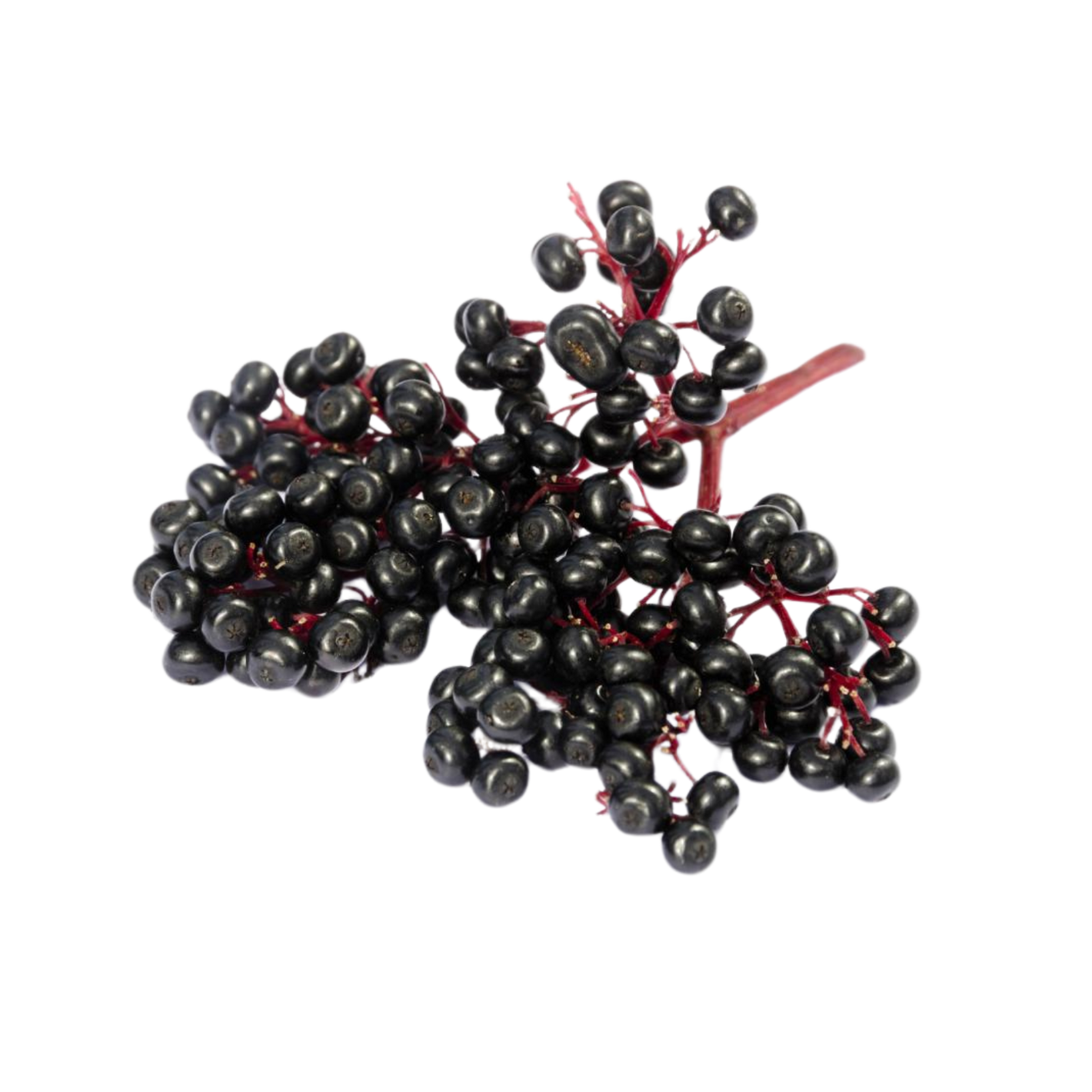 Elderberry